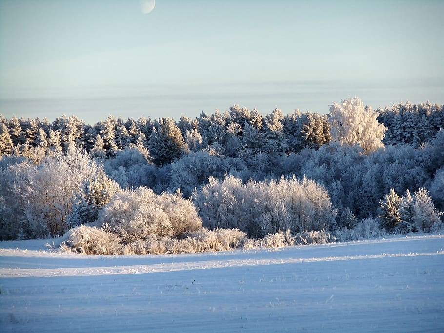 moon, sky, winter, space, atmosphere, blue, nature, landscape HD wallpaper