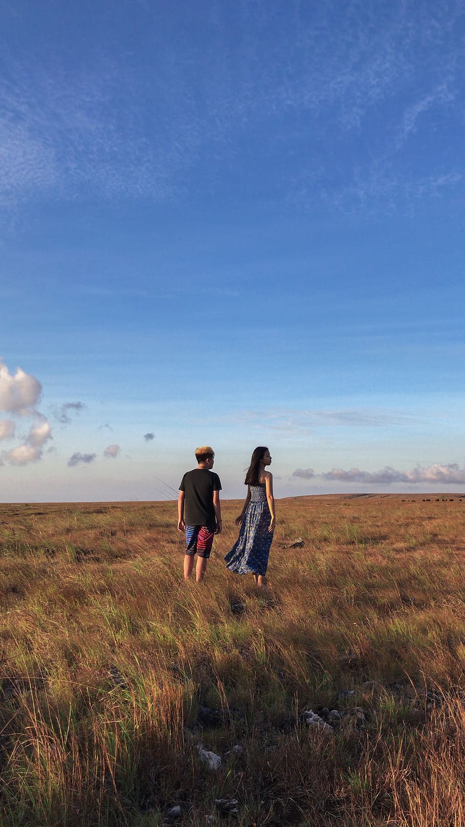 indonesia, sumba, clouds, blue, grass, couple, hill, hills HD wallpaper