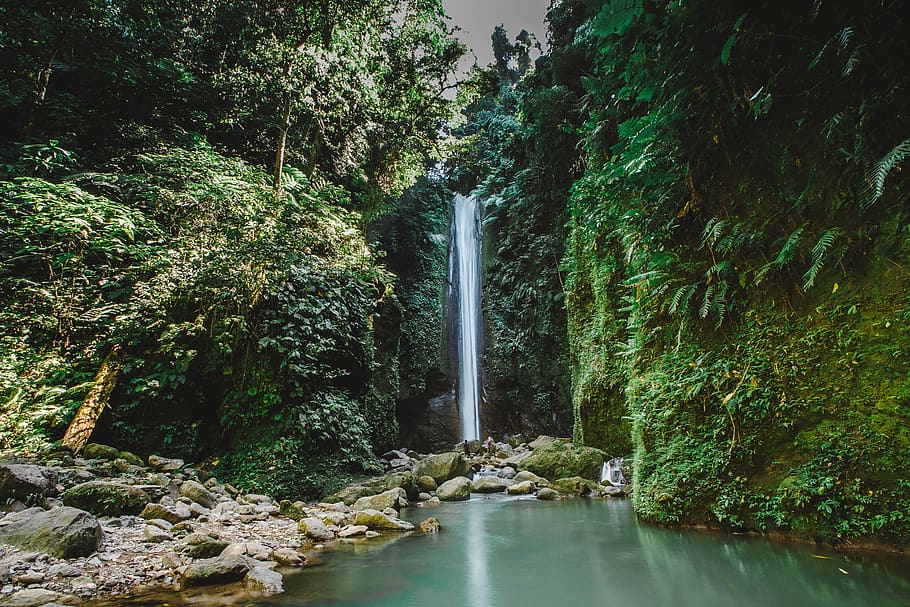 Waterfalls Near GreeN Leafed Trees, cascade, environment, nature HD wallpaper