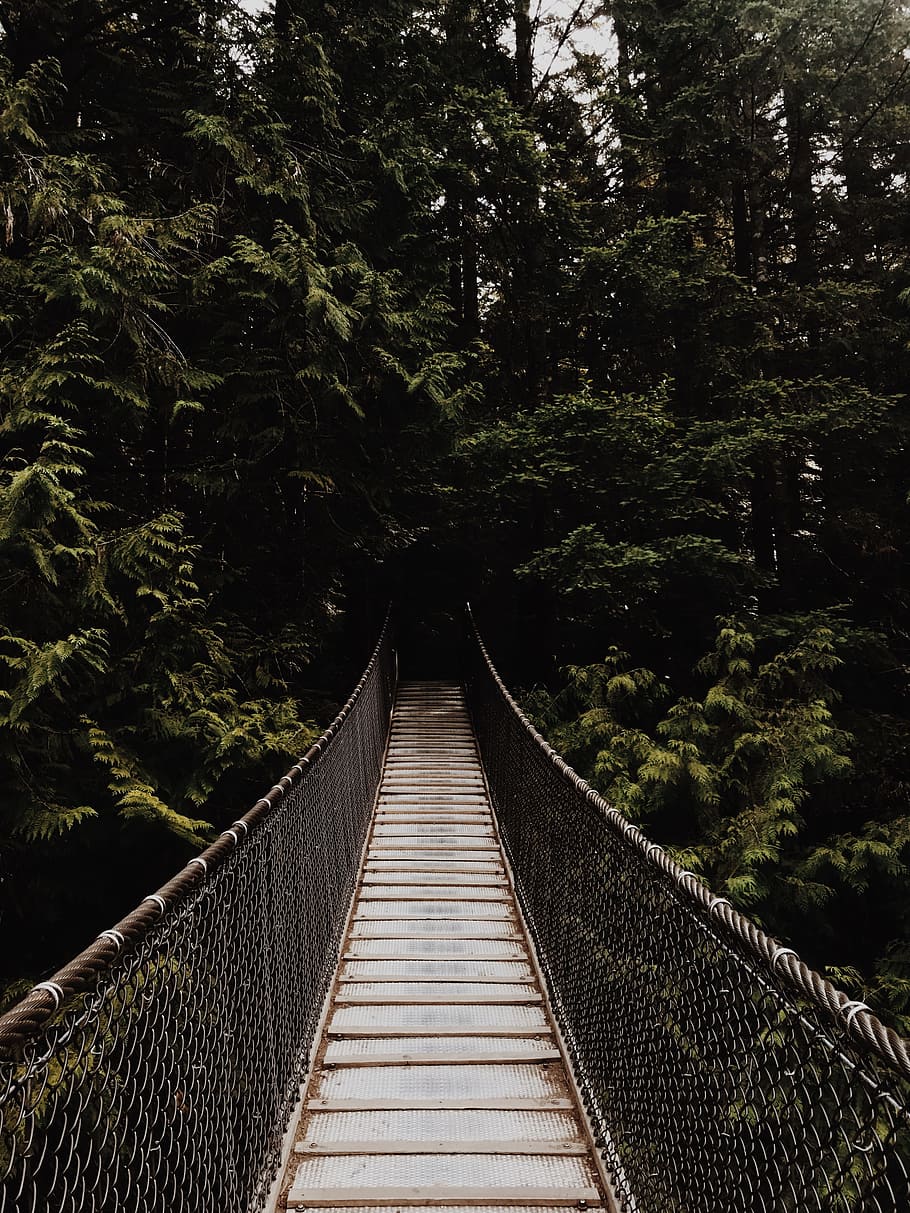 brown hanging bridge, forest, tree, bush, railing, camping, hiking, HD wallpaper