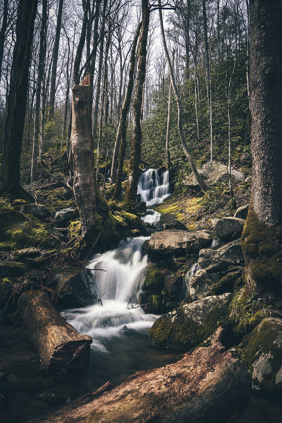 Waterfalls In Forest, cascade, environment, nature, park, scenic HD wallpaper