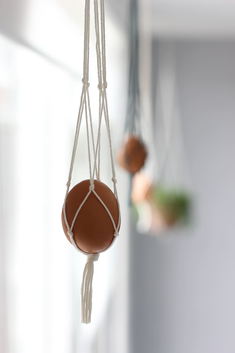 brown hanging egg, focus on foreground, indoors, close-up, food and drink HD wallpaper