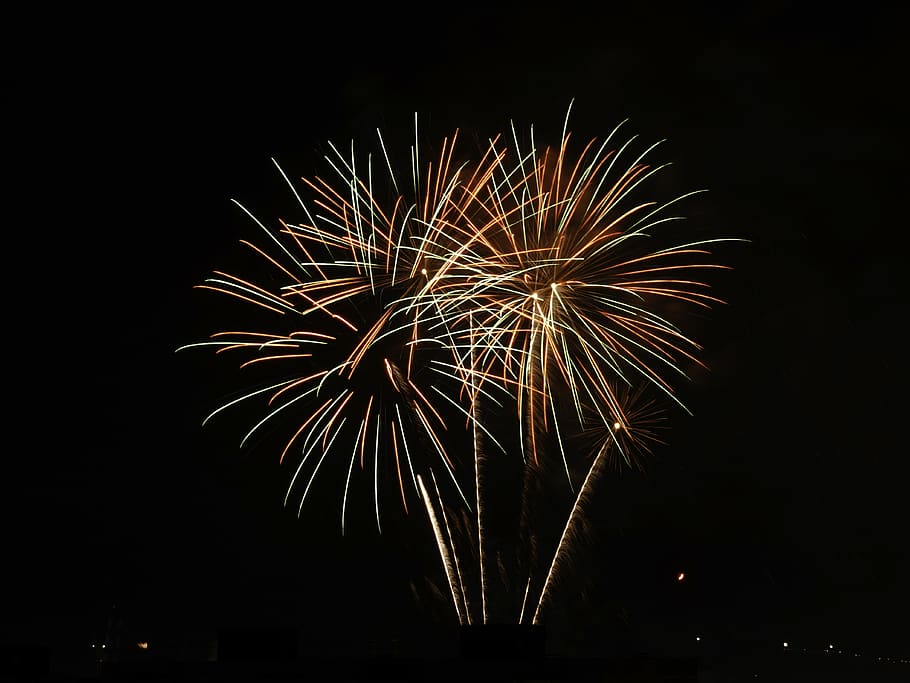 fireworks display, nature, outdoors, night, land, jungle, vegetation HD wallpaper