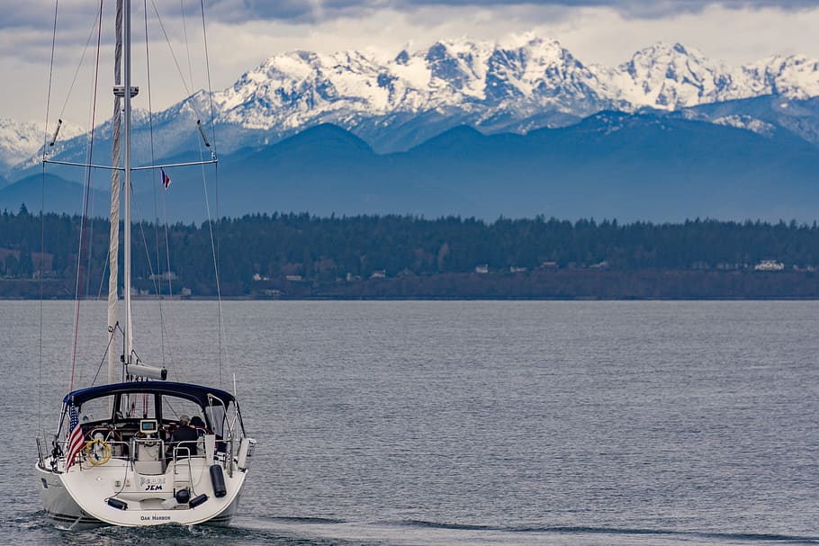cloudy, tree, water, sailing, mountain, puget, nautical vessel HD wallpaper