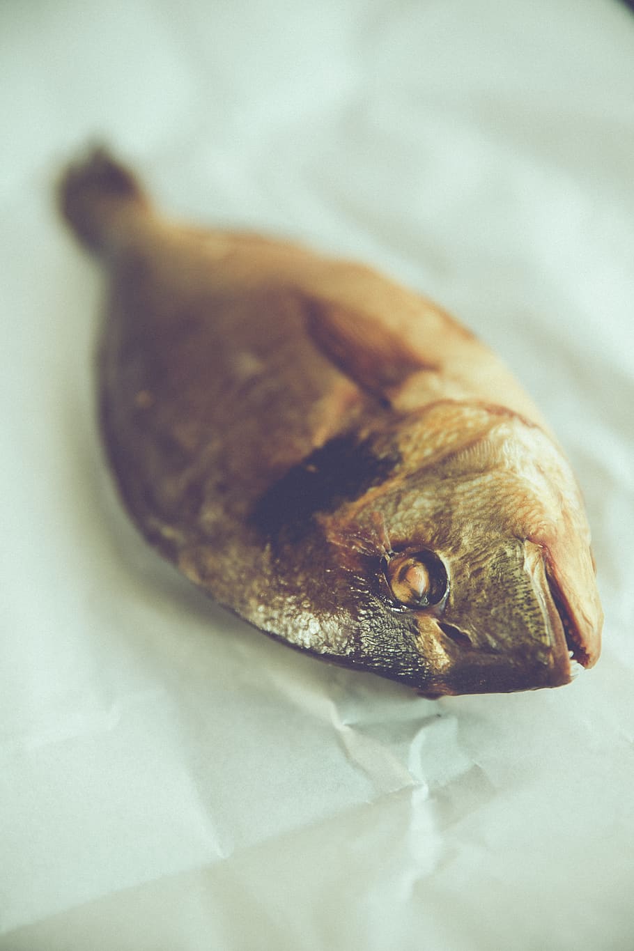 erlangen, germany, food, fish, plate, trout, eat, smoked, hunting HD wallpaper