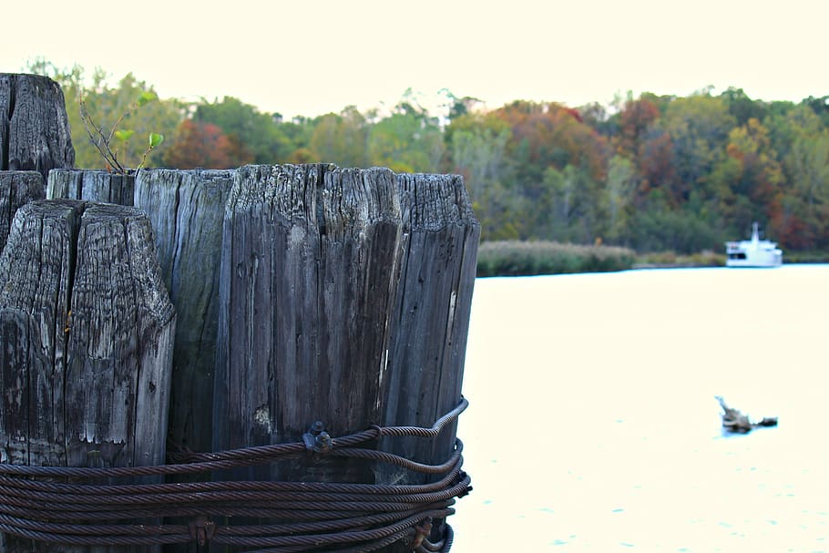 lake, dock, harbor, piling, boat, marina, tree, nature, plant HD wallpaper