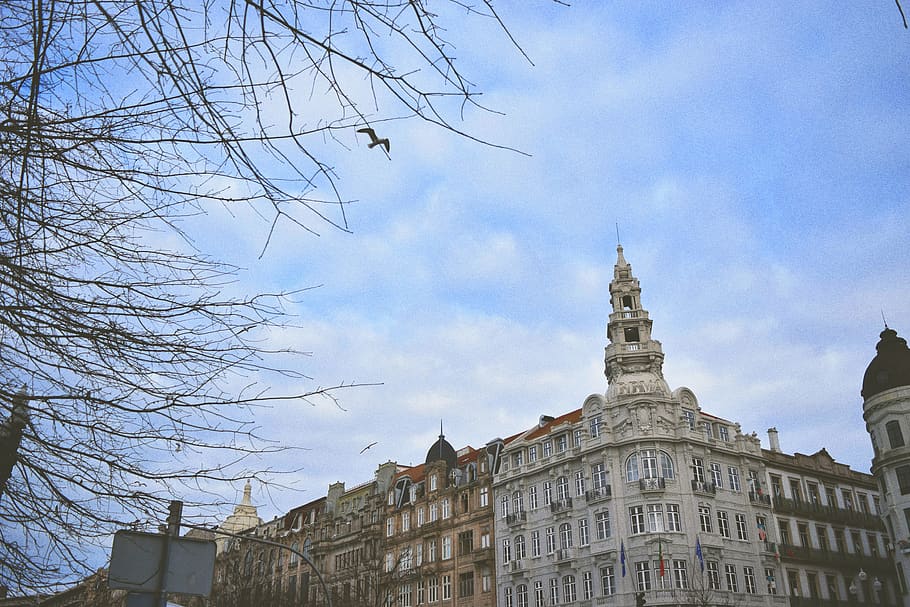 Bare Tree Near White Building, architecture, buildings, daylight HD wallpaper