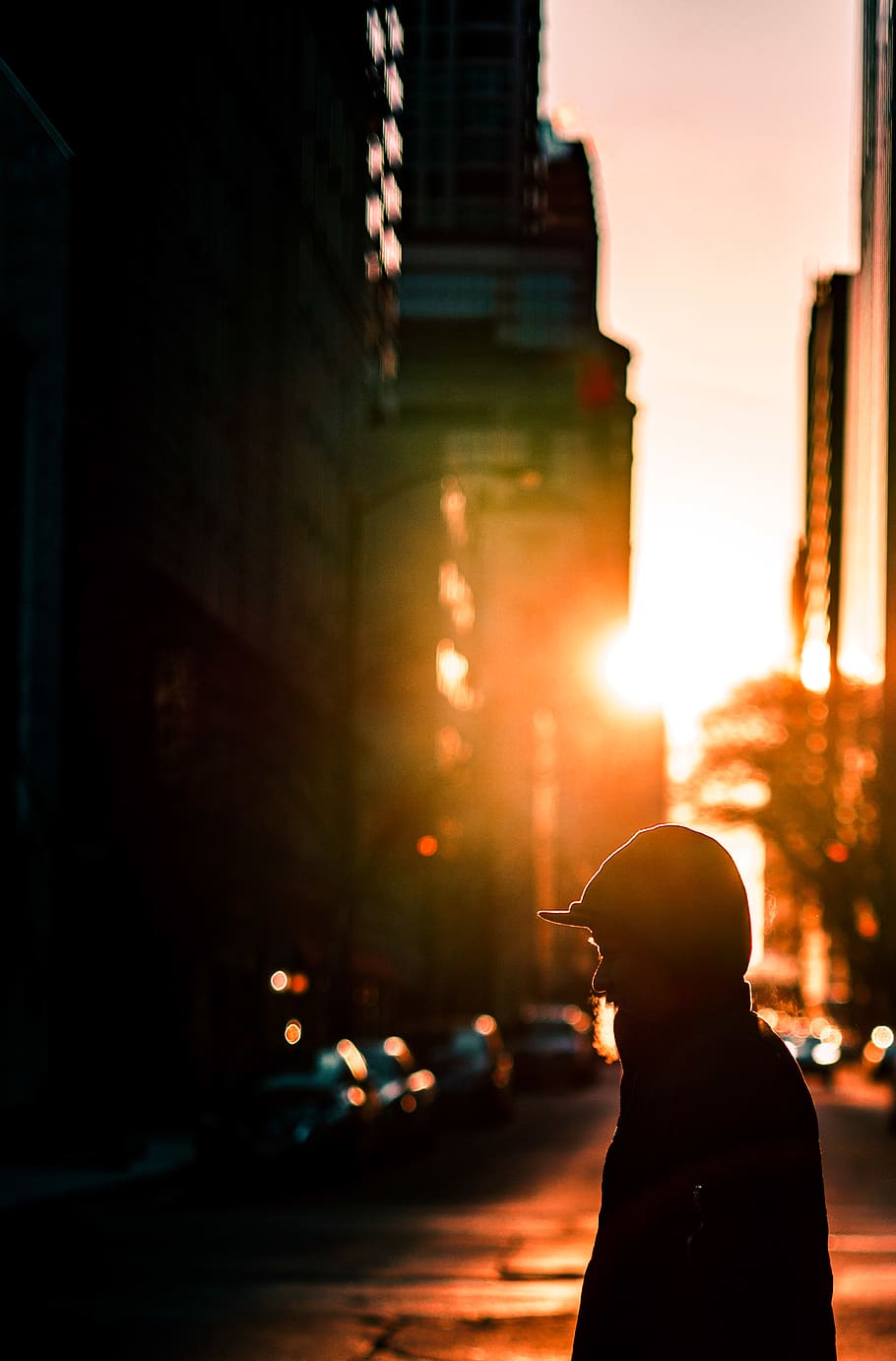 Silhouette Of Person During Dawn, backlit, blur, city, dark, depth of field HD wallpaper
