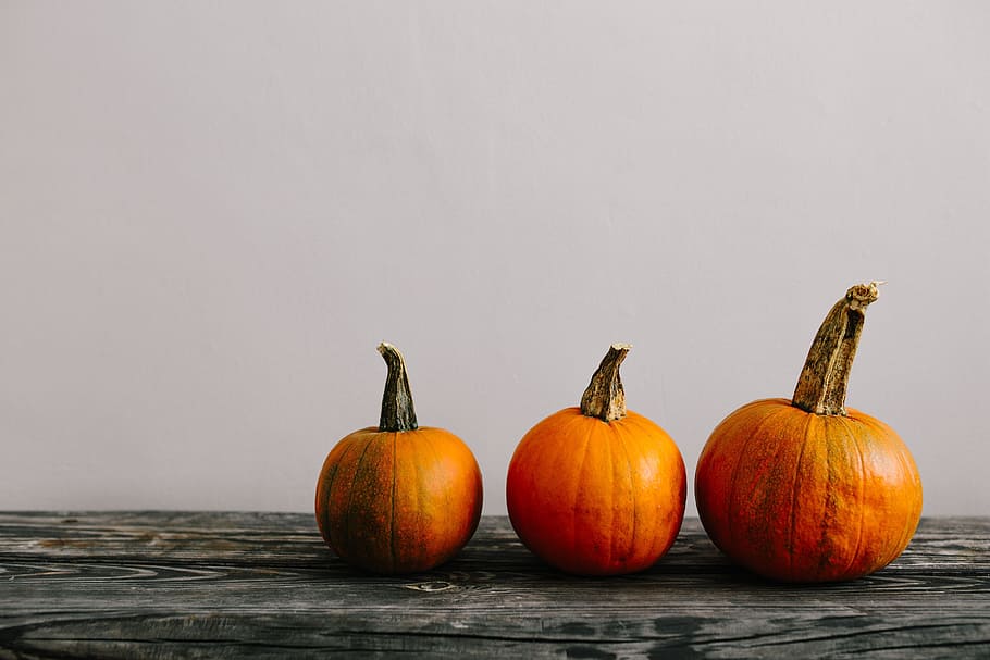Variety of Pumpkins, healthy, autumn, fall, vegetable, halloween, HD wallpaper