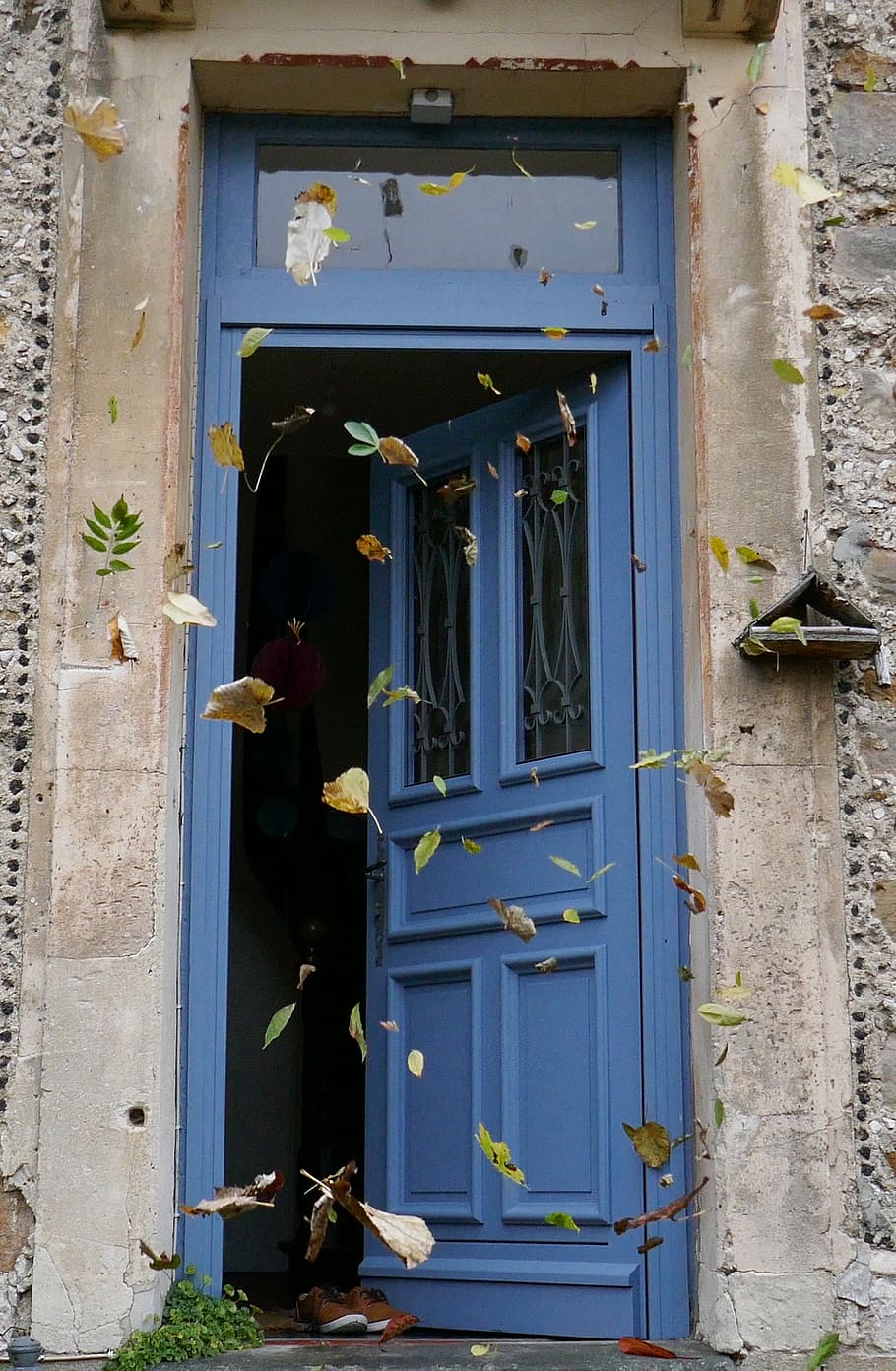 wind, autumn, falling, leaves, leaf, building exterior, architecture HD wallpaper