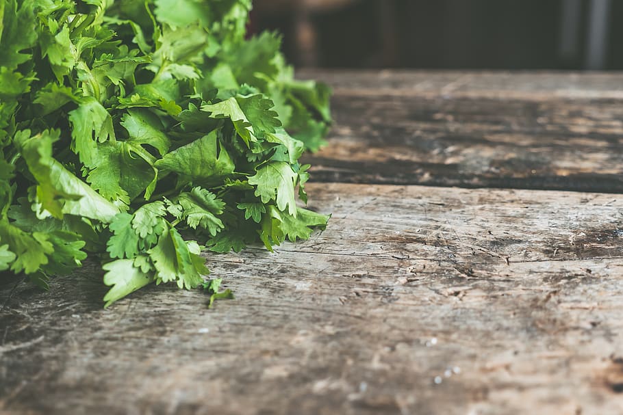 Green Leafed Plant, bunch, eat, eating, environment, farm, flora HD wallpaper