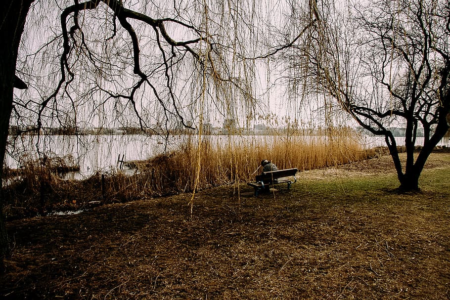 Lonely man sits on bench in park, alone, alster, germany, hamburg HD wallpaper