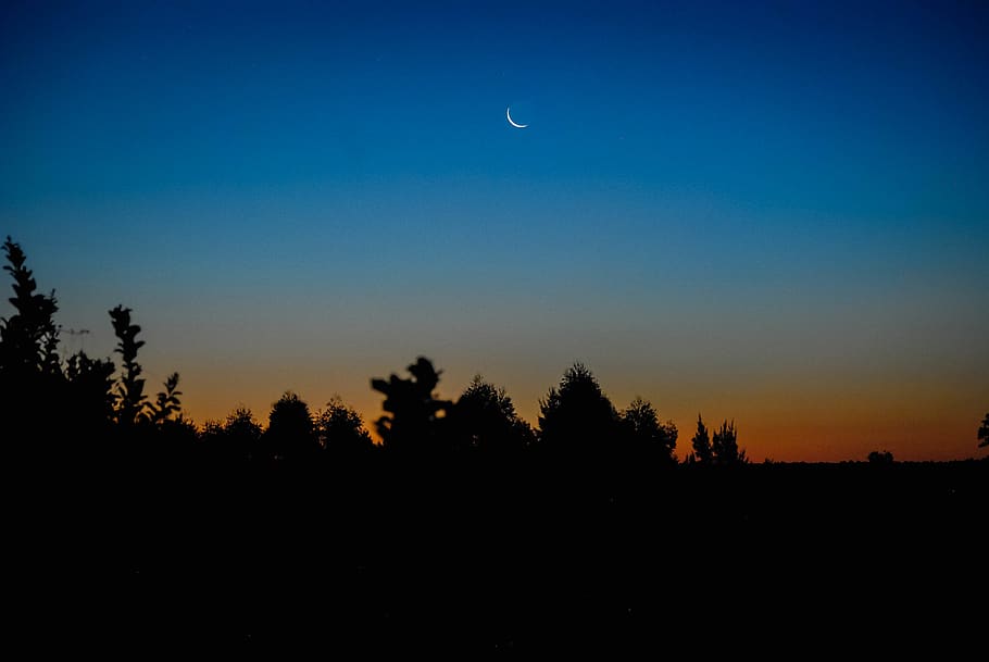 nature, outdoors, moon, night, space, outer space, astronomy HD wallpaper
