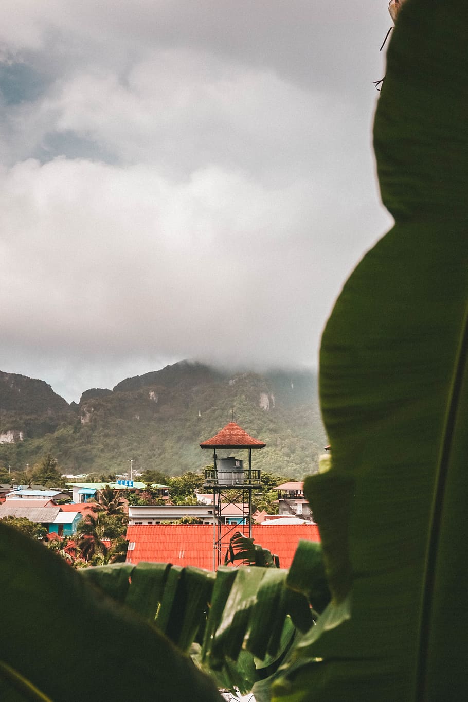 green banana leaf, cloud - sky, nature, mountain, architecture HD wallpaper
