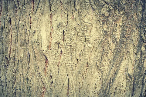Brown Surface, antique, backdrop, background, bark, carpentry HD wallpaper