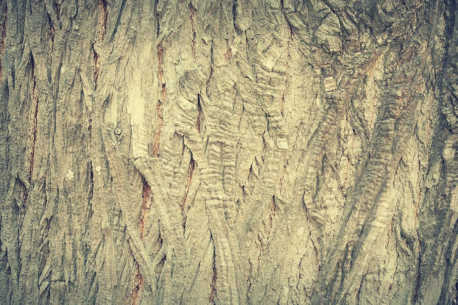 Brown Surface, antique, backdrop, background, bark, carpentry HD wallpaper