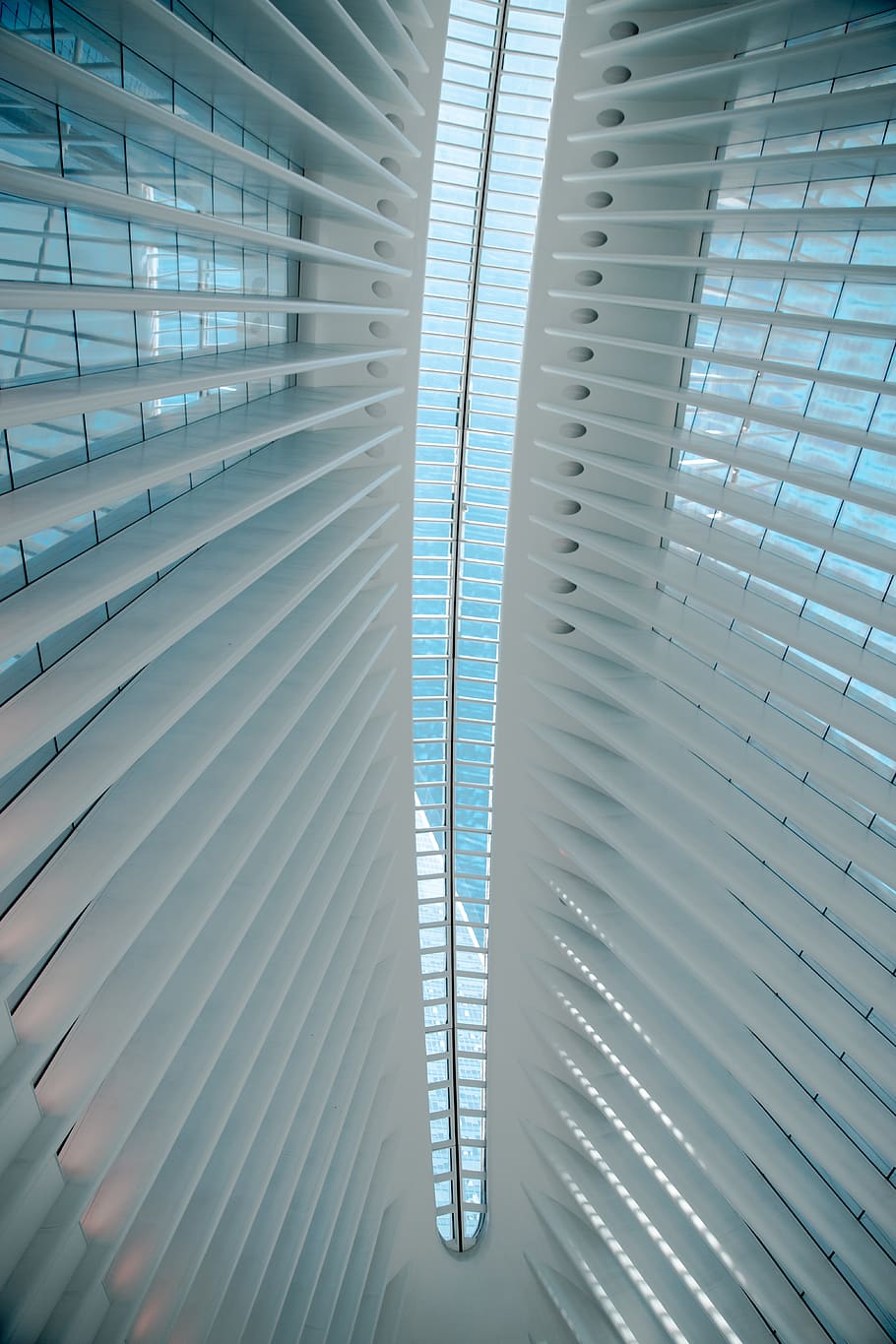 white window blinds, home decor, building, architecture, curtain HD wallpaper