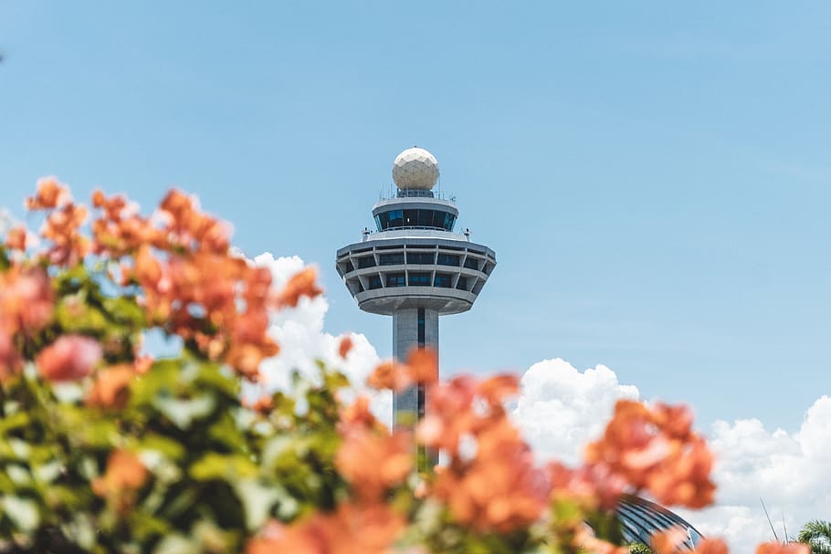 CN Tower, sky, low angle view, nature, plant, architecture, day HD wallpaper