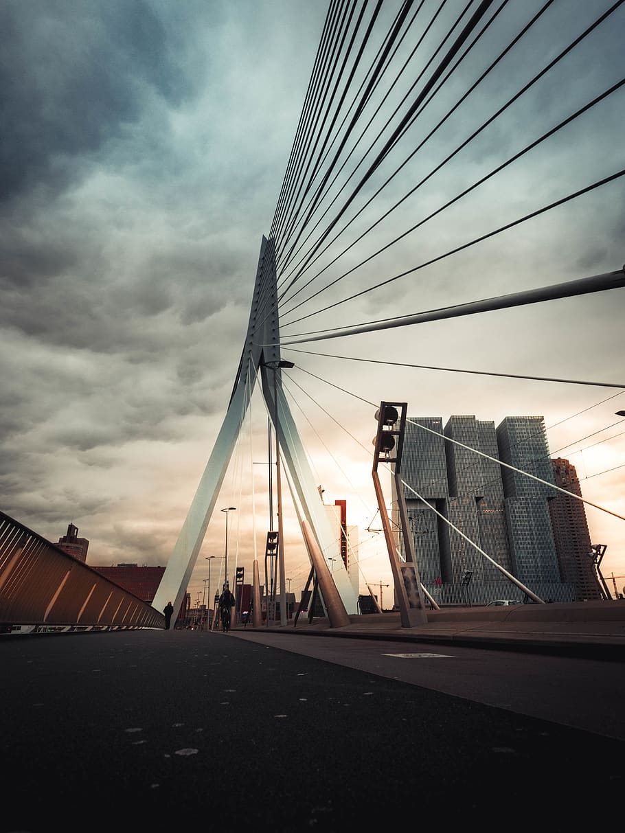building, erasmusbridge, skyline, tram, harbour, rope, city HD wallpaper