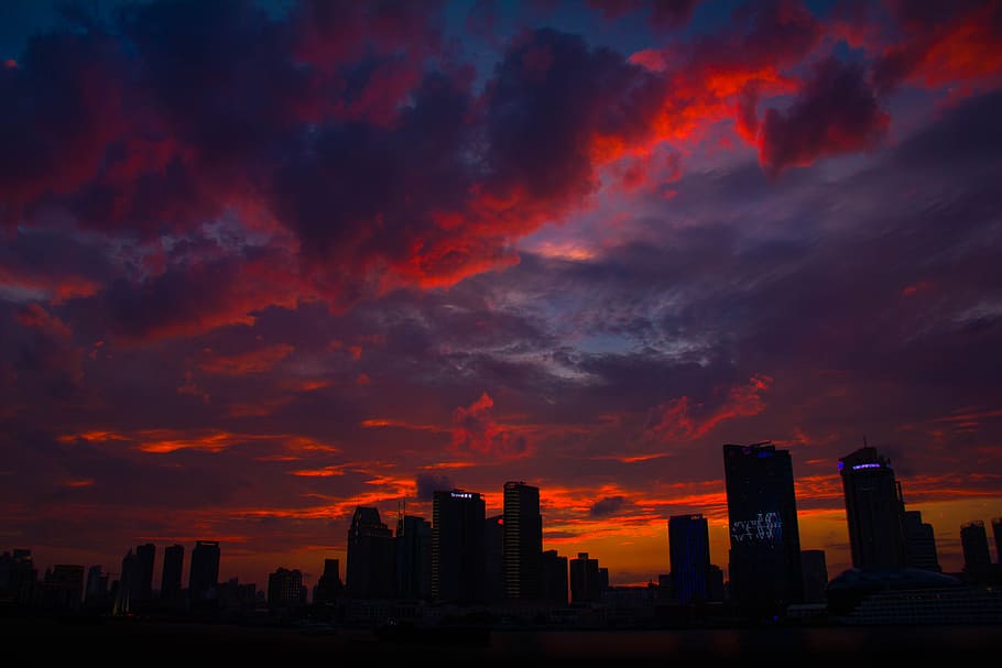 silhouette of high rise buildings during golden hour, skyline HD wallpaper