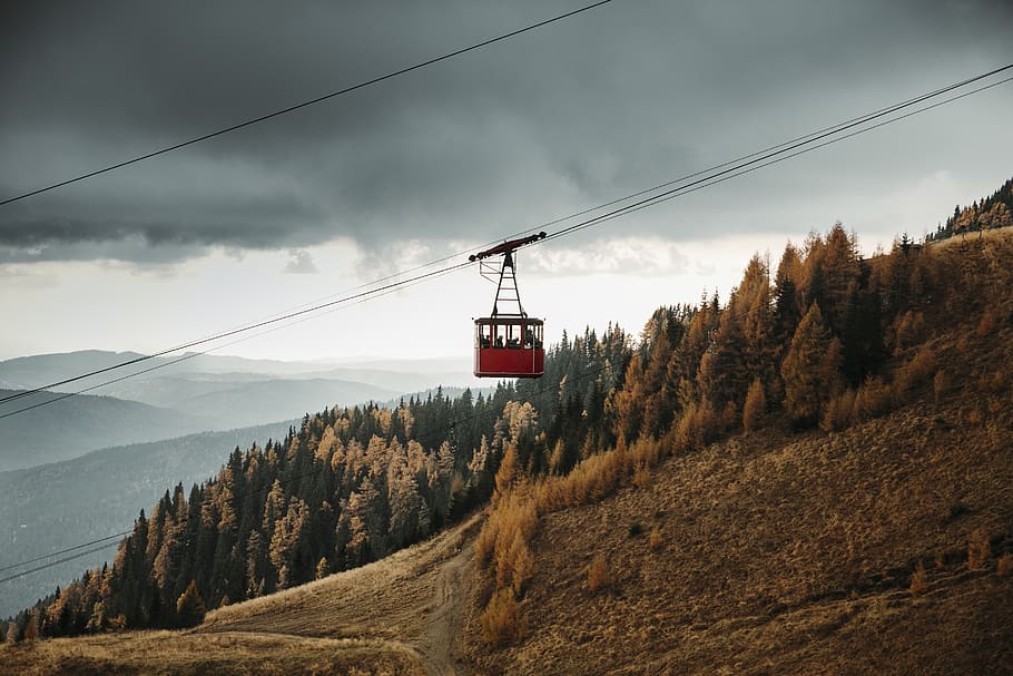 red cable cart at daytime, plant, tree, transportation, vehicle HD wallpaper