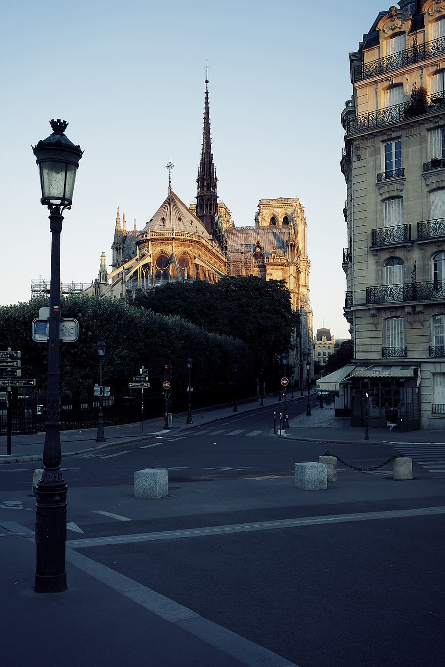 paris, france, cathédrale notre-dame de paris, morning light, HD wallpaper