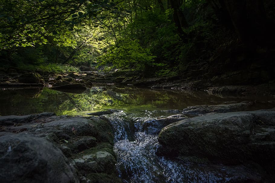 bach, river, nature, forest, schliechemklamm, nature reserve HD wallpaper