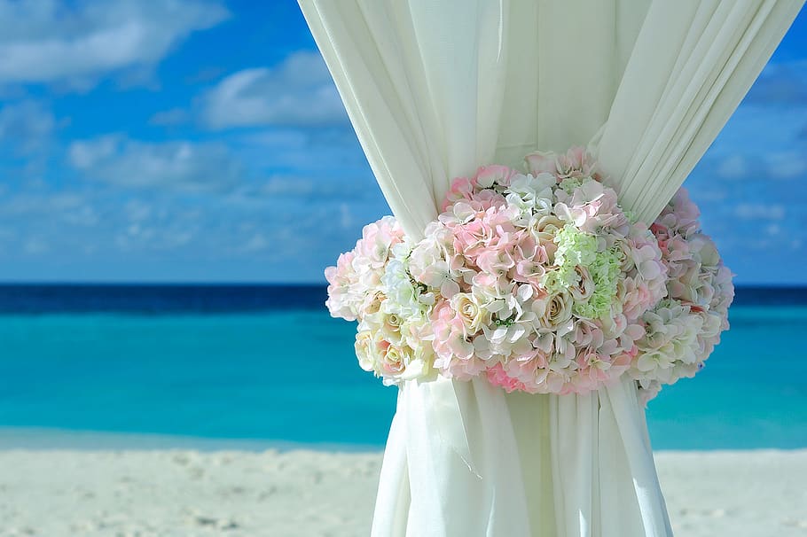 Pink White Petal Flower on White Curtain Near White Sand Beach on Daytime, HD wallpaper