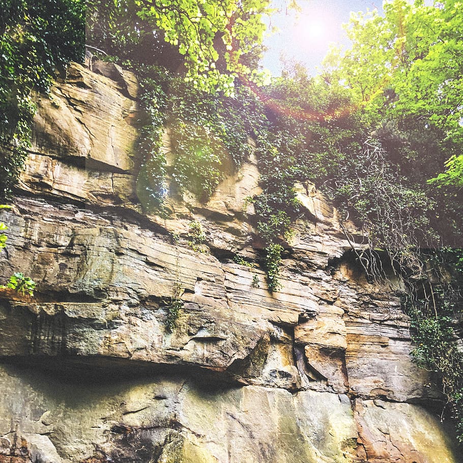 cliff, vegetation, plants, trees, green, rocks, rocky, earth HD wallpaper