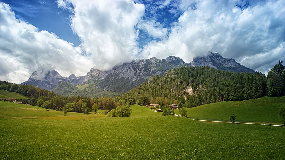 Green Grass Field With Trees and Mountain in Background Under Cloudy Sky HD wallpaper