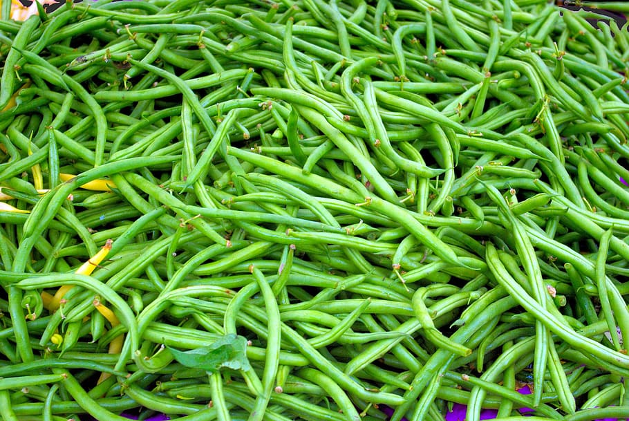 farm market beans, green, dane, county, farmers, wisconsin HD wallpaper