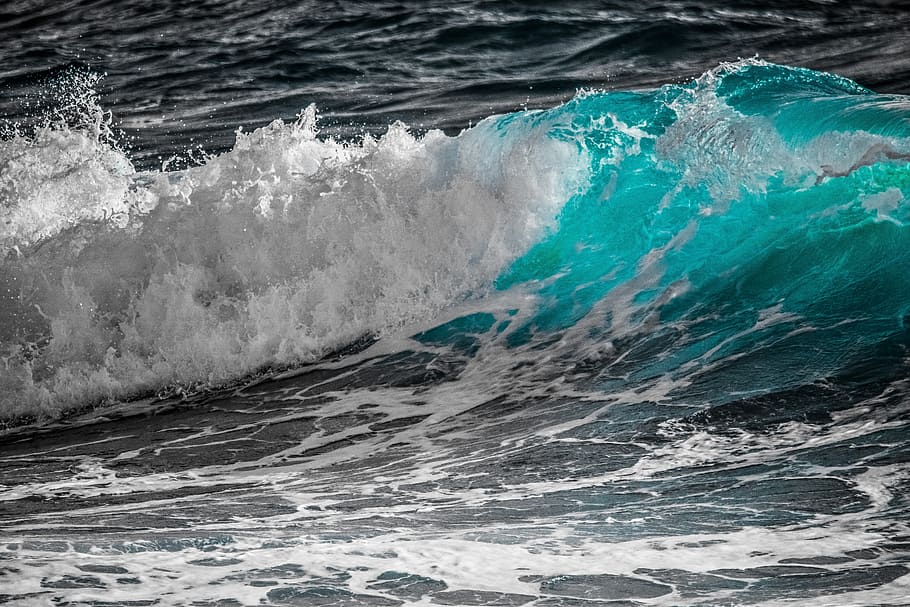 surf, wave, water, sea, foam, spray, splash, nature, action HD wallpaper