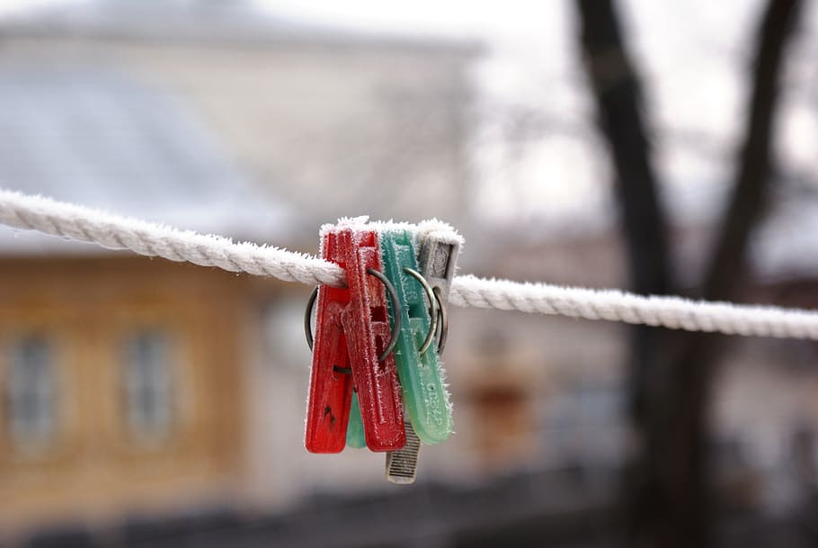 zing, winter, snow, leann, frozen, focus on foreground, close-up HD wallpaper