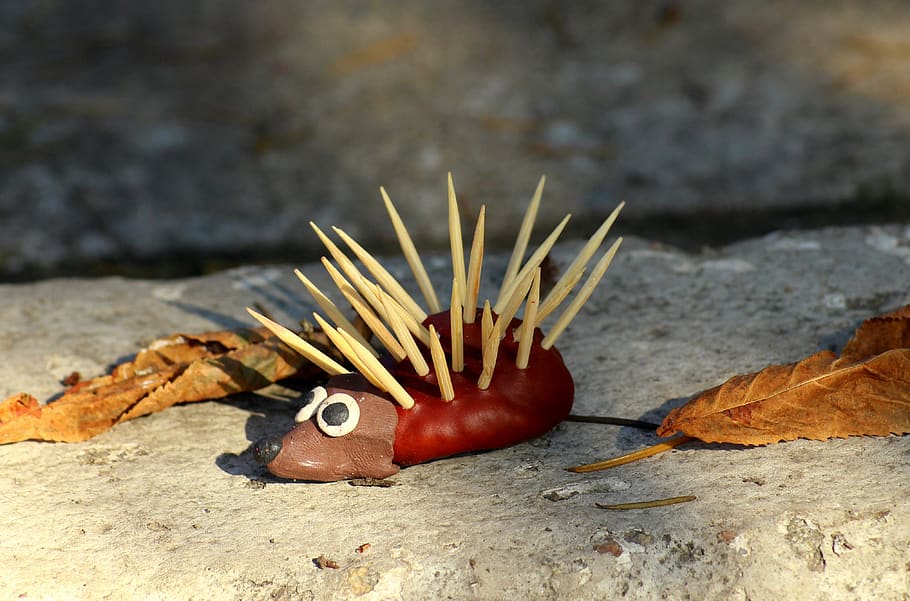 autumn, hedgehog, decoration, fun, creativity, child's play, HD wallpaper