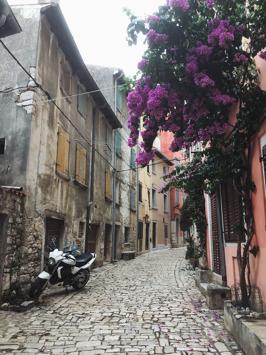 croatia, rovinj, morotcycle, street, path, cobbled, road, summer HD wallpaper