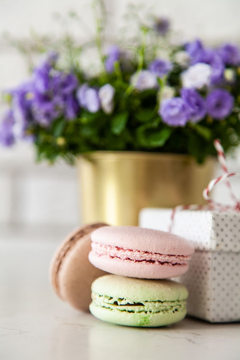 Macaroons Beside Gift Box, bloom, blooming, blossom, blurred background HD wallpaper