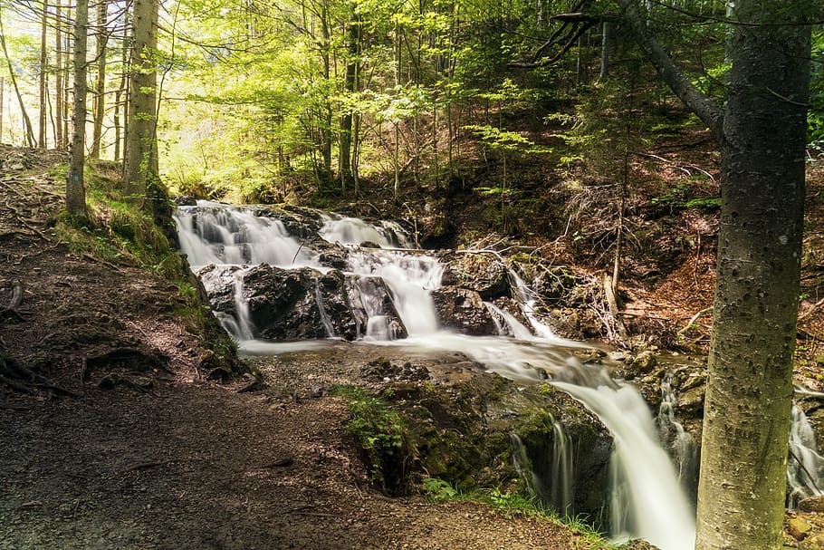 bach, river, nature, forest, scenic, waterfall, flowing, mood HD wallpaper
