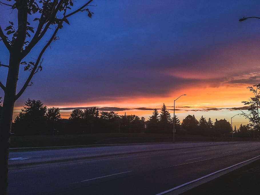 sunset, nature, warm, warm tone, tree, sky, plant, road, transportation HD wallpaper
