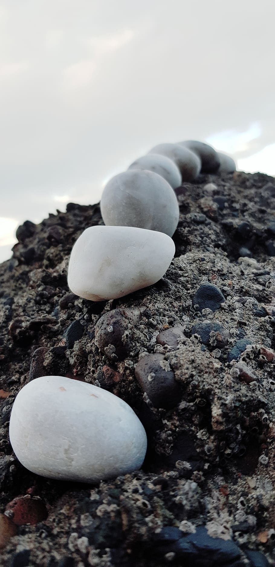 food, egg, soil, road, gravel, dirt road, pebble, rock, plant HD wallpaper