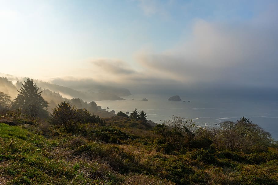 morning, mist, clouds, coast, sea stacks, rocks, cliffs, california HD wallpaper