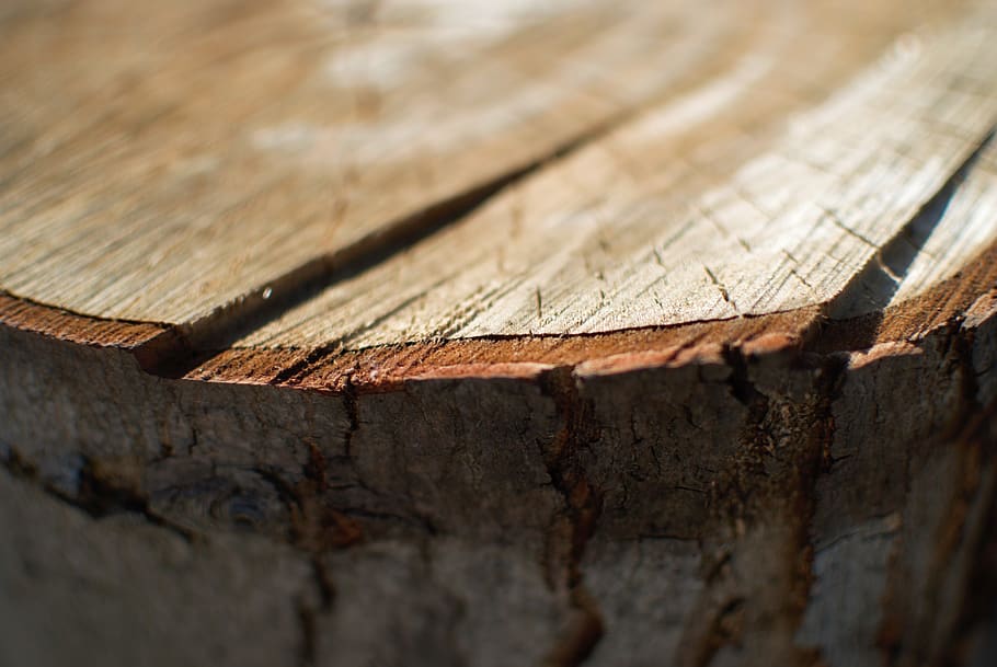 wood, tree, bark, brown, cracks, log, fire, split, layers, thick, HD wallpaper
