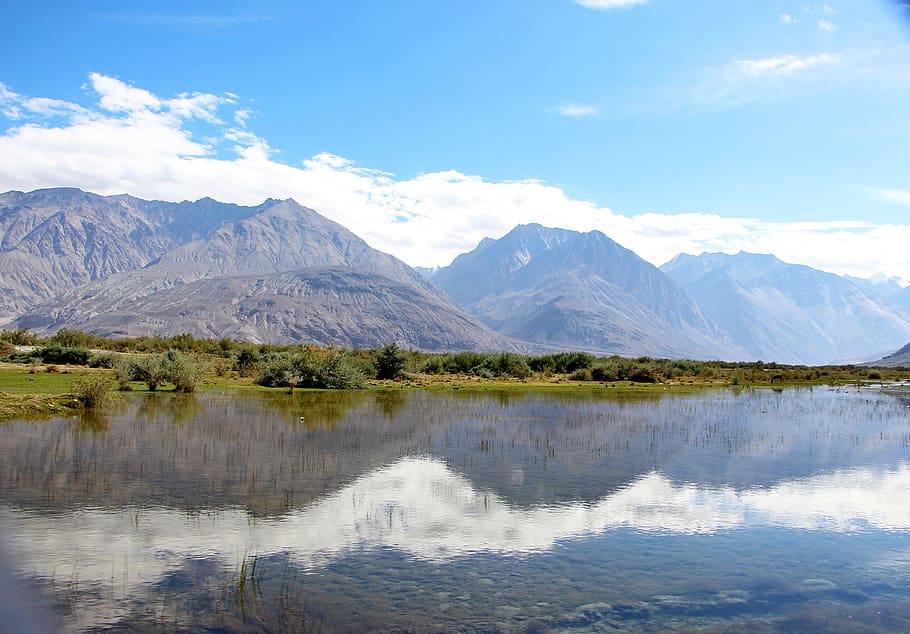 a random lake, holiday, nature, beautiful, green, ladakh, india