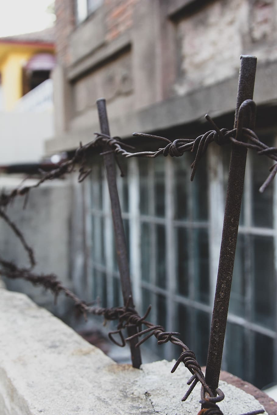 wire, barbed wire, prison, rust, fence, cotton, piercing, pillar HD wallpaper