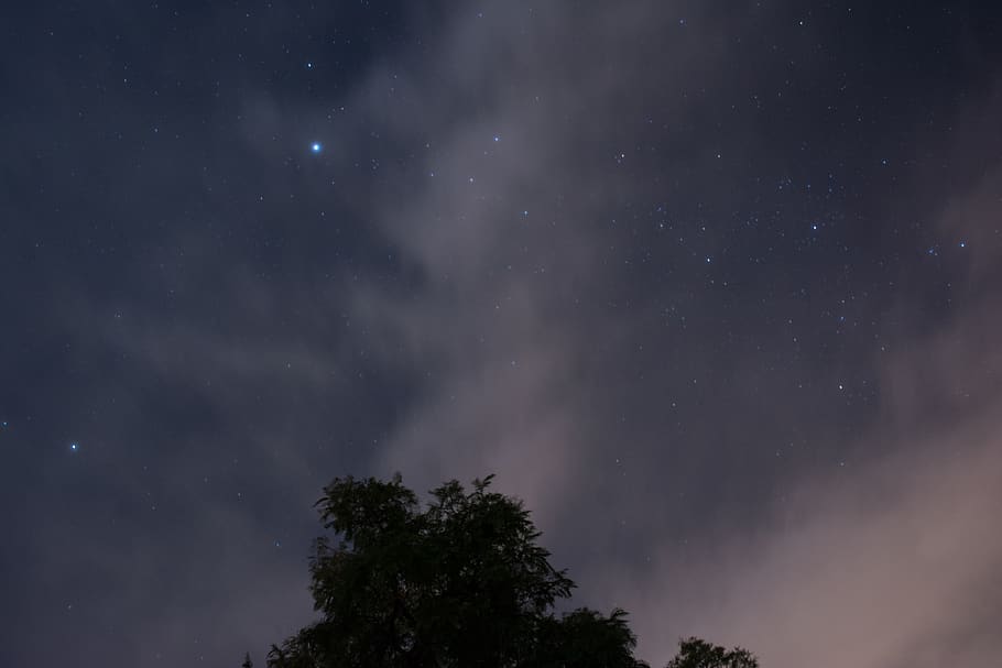 starlight, stars, star - space, night, astronomy, sky, beauty in nature HD wallpaper