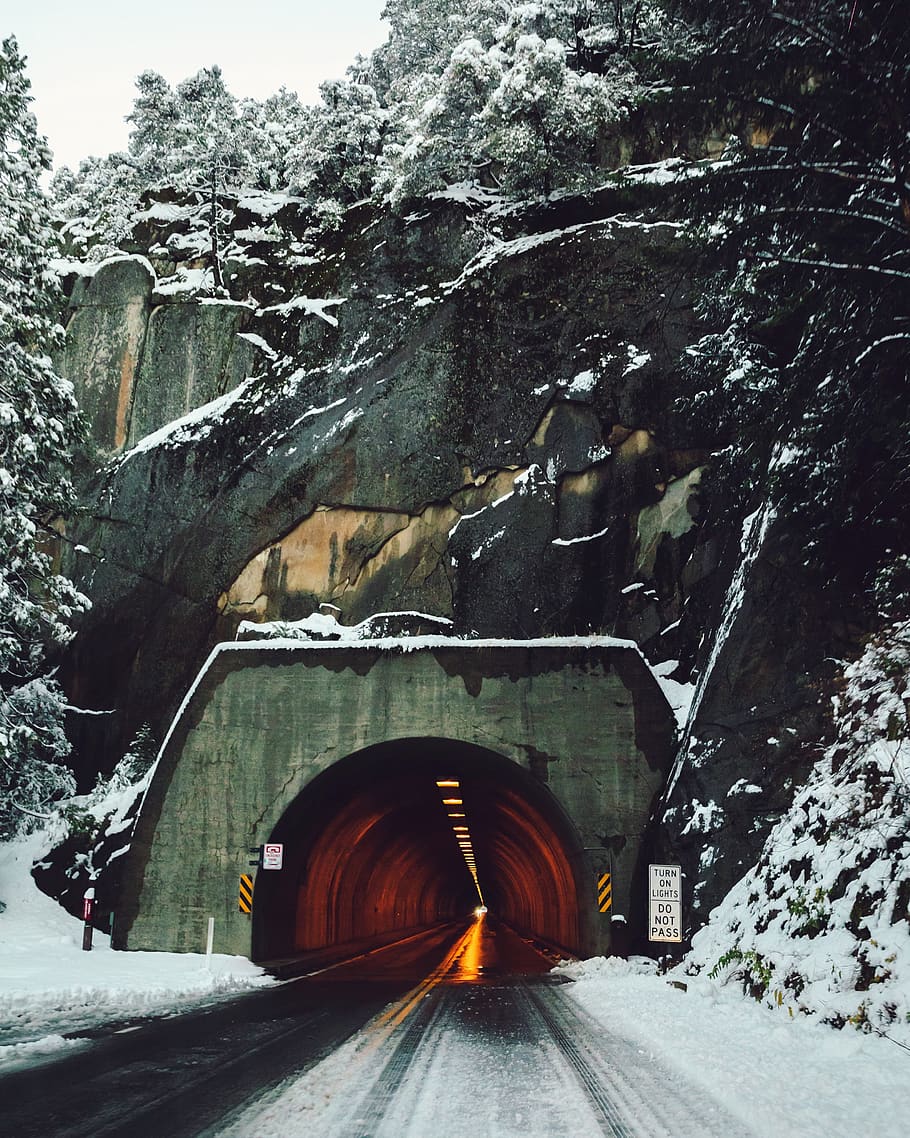 tunnel under mountain and trees, tunnel vision, yosemite, plant HD wallpaper