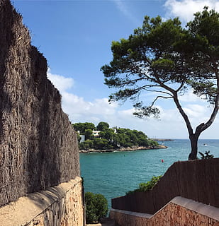 spain, majorca, water, tree, plant, sky, sea, nature, scenics - nature HD wallpaper