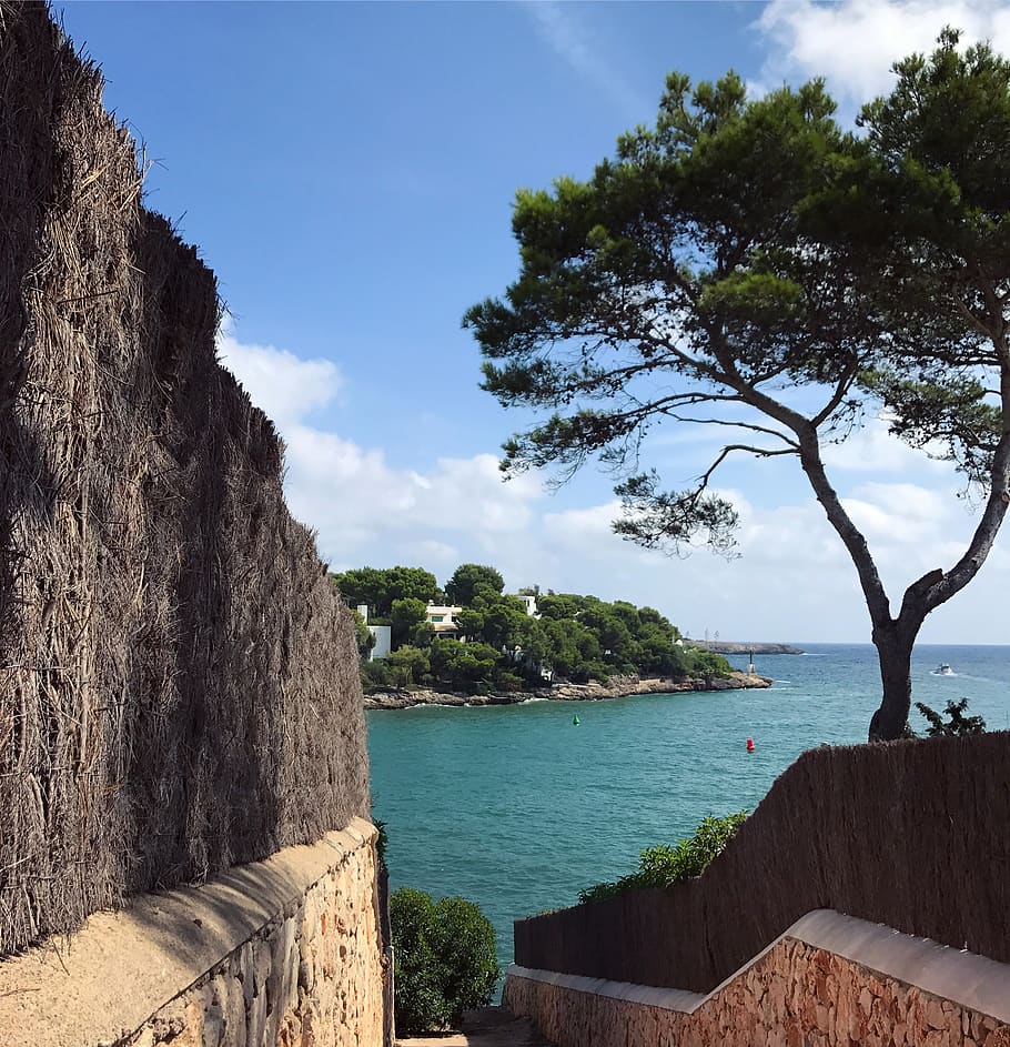 spain, majorca, water, tree, plant, sky, sea, nature, scenics - nature HD wallpaper