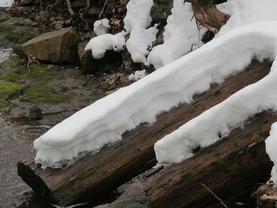 snow, logs, snow layers, winter, cold temperature, tree, white color HD wallpaper