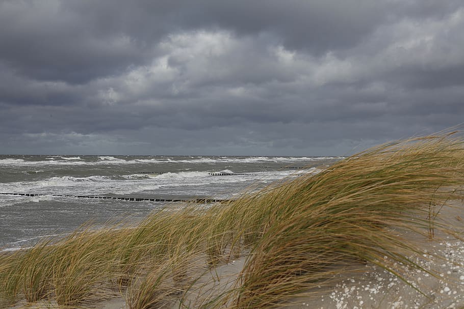 surf, forward, sea, dunes, baltic sea, wave, spray, coast, beach HD wallpaper