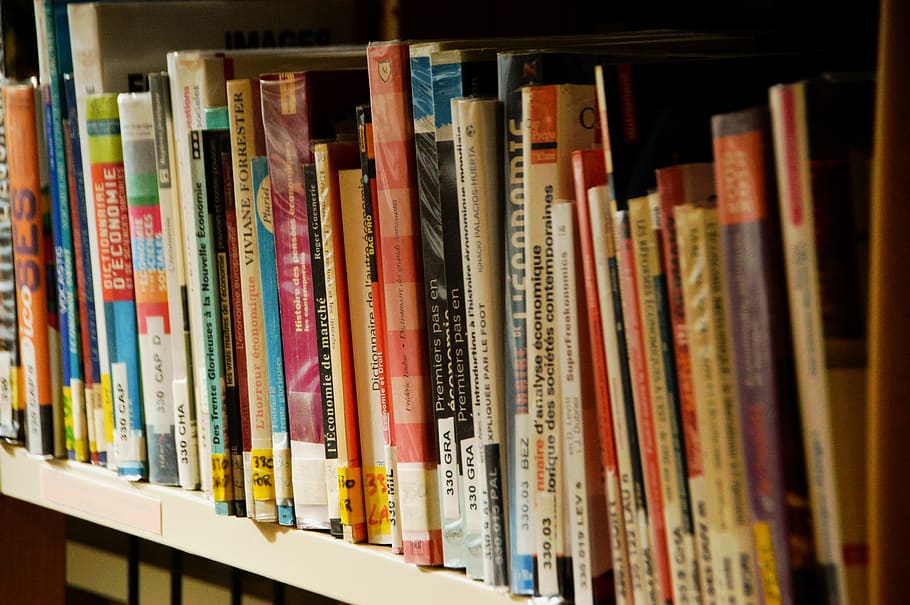 books, reading, library, knowledge, study, bookstore, literature HD wallpaper